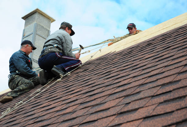 Best Roof Maintenance Services  in Sikeston, MO
